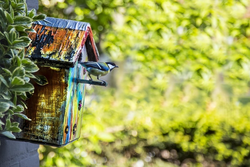 Recycled Birdhouse